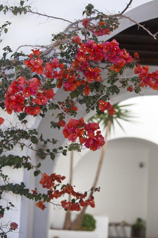 Elisso'S Philoxenia Agios Prokopios (Naxos) Exterior foto